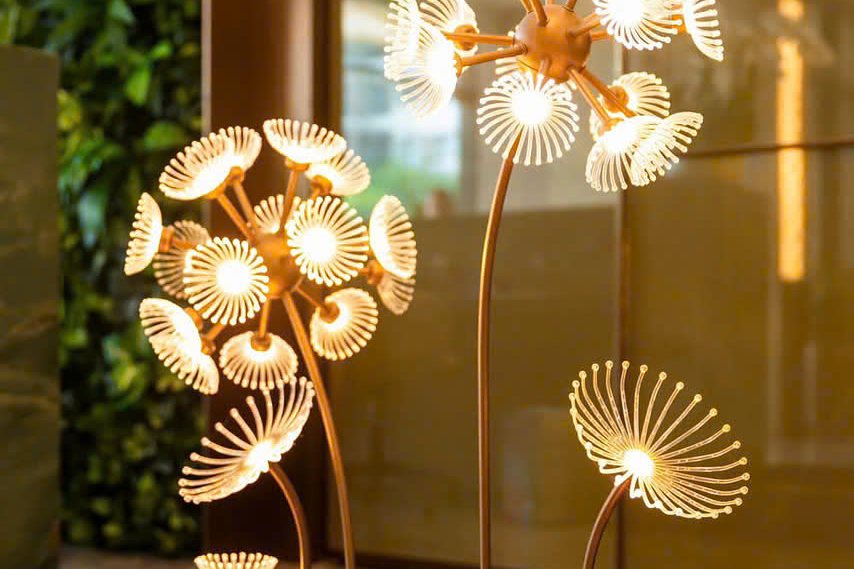 Lumiere Evergreen